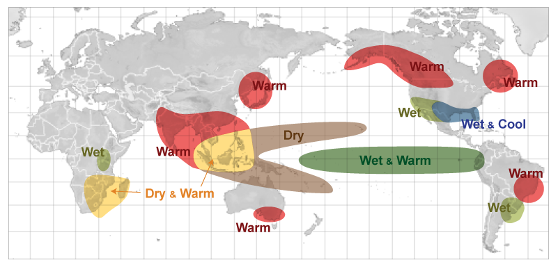 Figure 3. Impacts of El Niño on global climate during winter seasons.